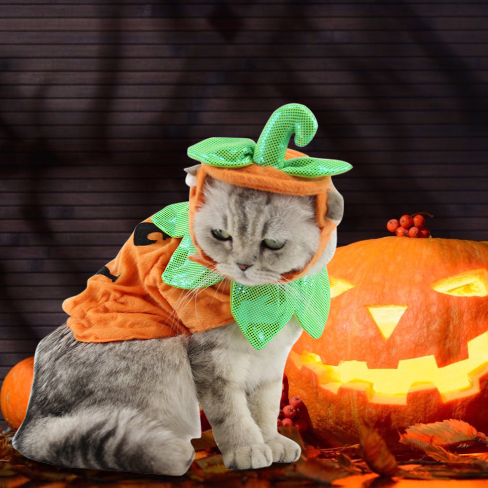 Halloween Pumpkin Hat Pet Costume – Funny Cat & Dog Prop