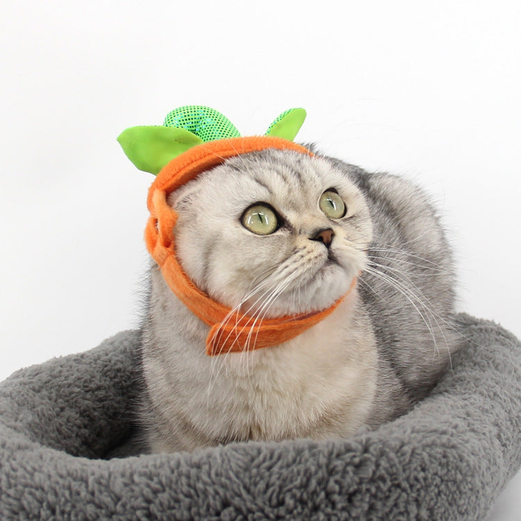 Halloween Pumpkin Hat Pet Costume – Funny Cat & Dog Prop