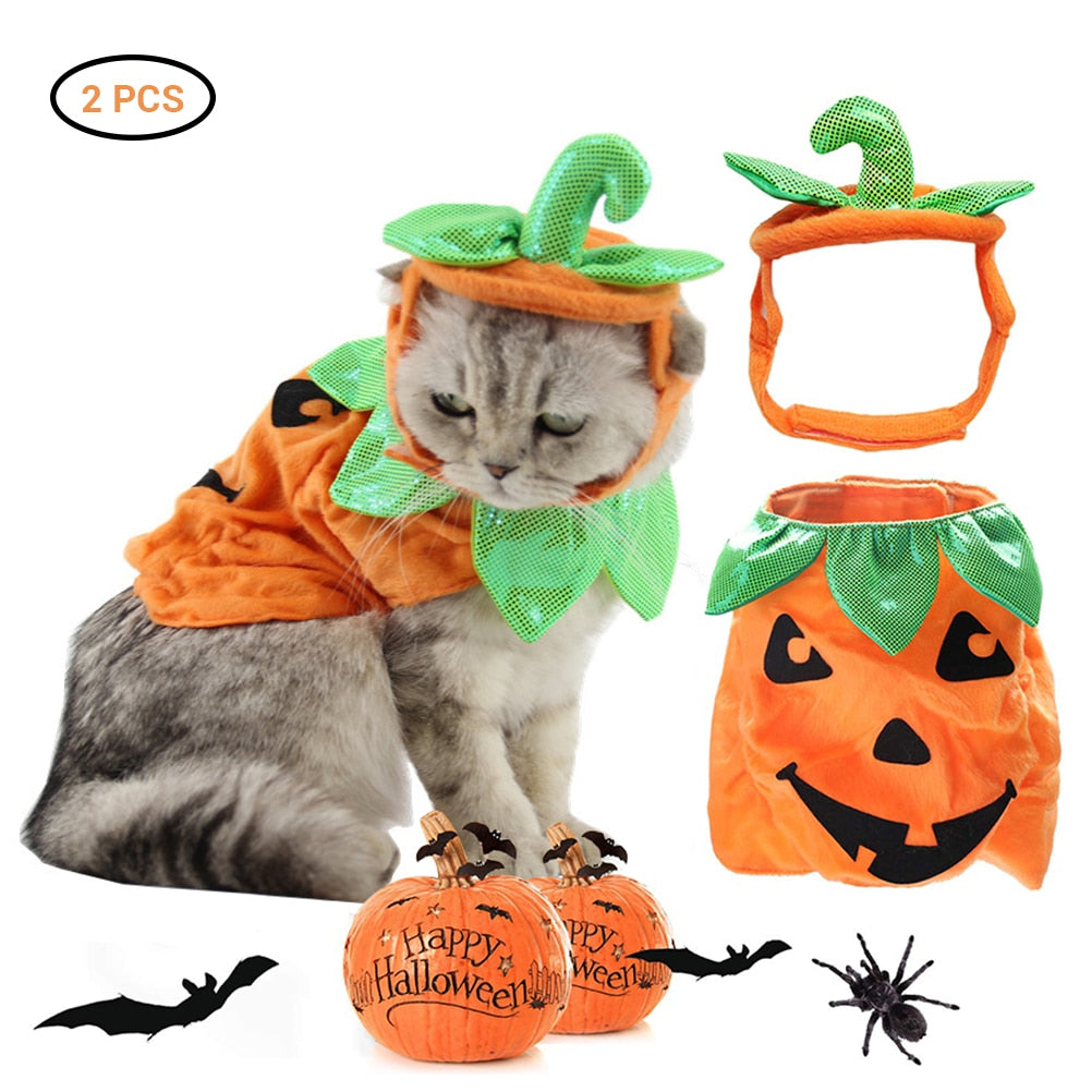 Halloween Pumpkin Hat Pet Costume – Funny Cat & Dog Prop