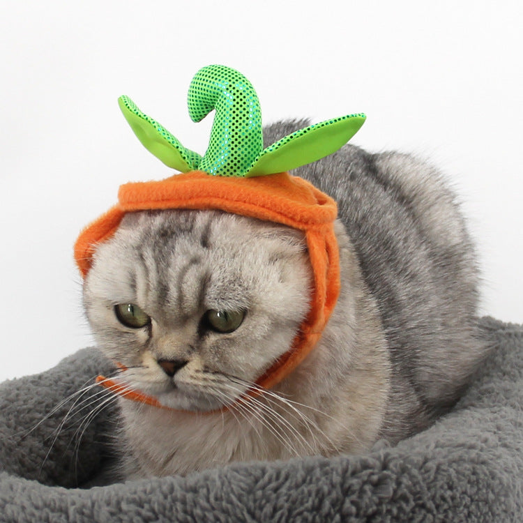 Halloween Pumpkin Hat Pet Costume – Funny Cat & Dog Prop