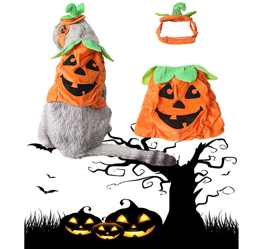 Halloween Pumpkin Hat Pet Costume – Funny Cat & Dog Prop