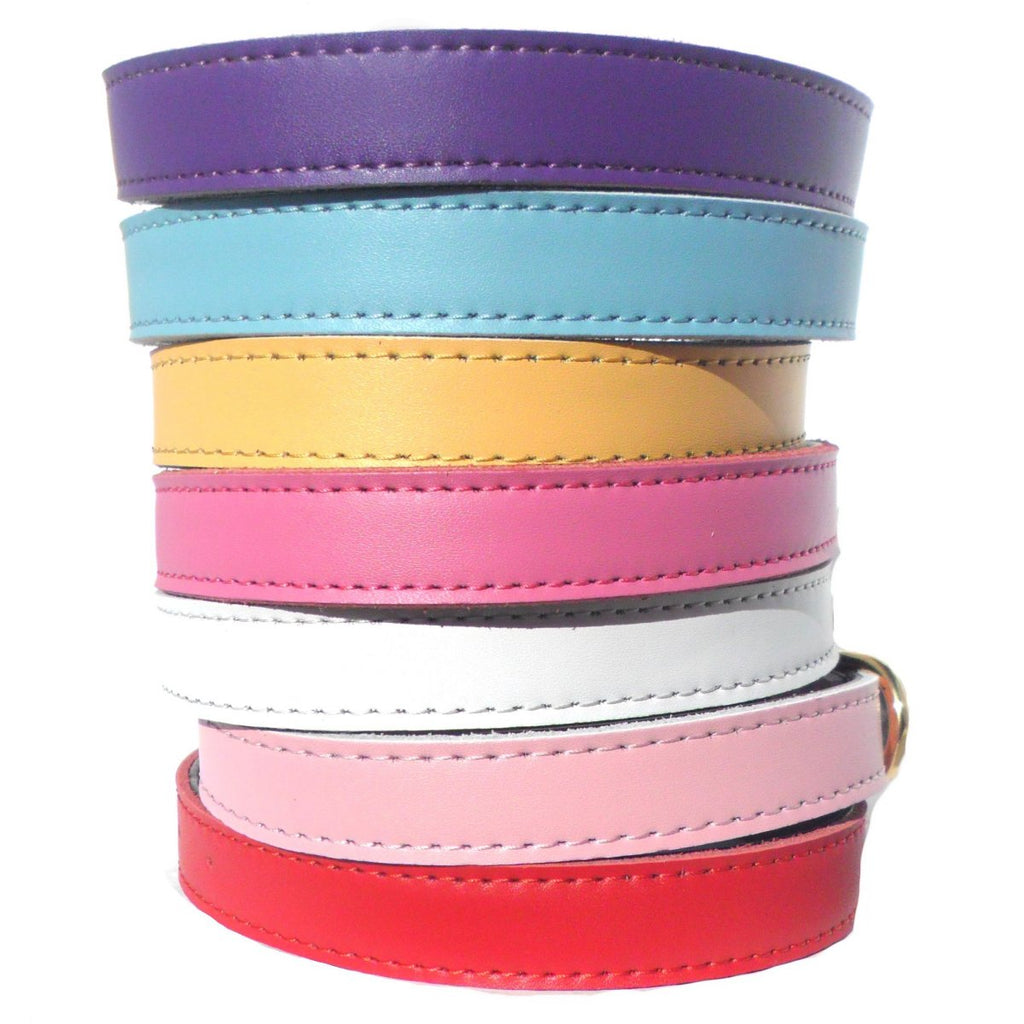 Plain Chelsea Dog Collar – Classic Everyday Collar (4 Sizes)