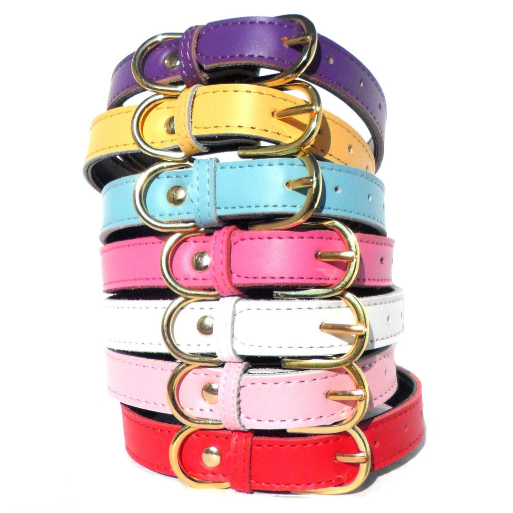 Plain Chelsea Dog Collar – Classic Everyday Collar (4 Sizes)