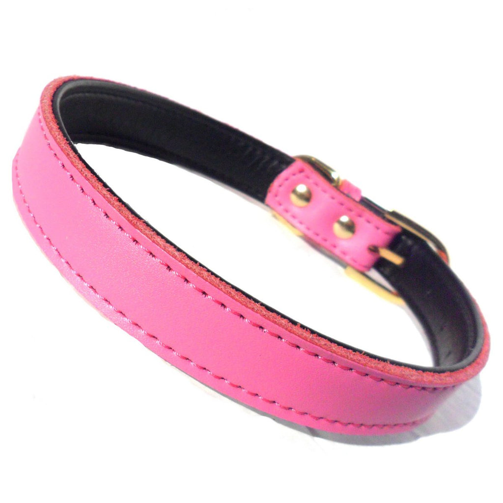 Plain Chelsea Dog Collar – Classic Everyday Collar (4 Sizes)
