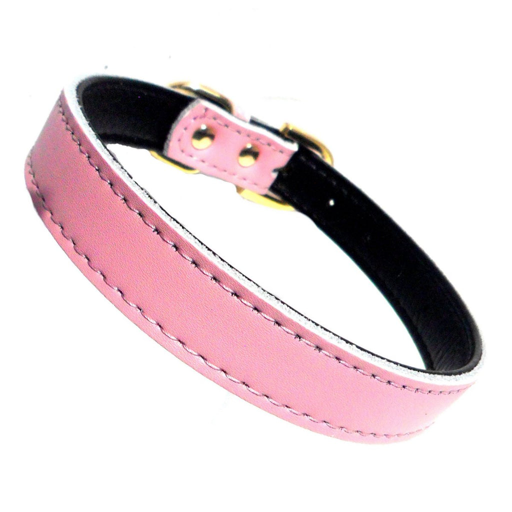 Plain Chelsea Dog Collar – Classic Everyday Collar (4 Sizes)