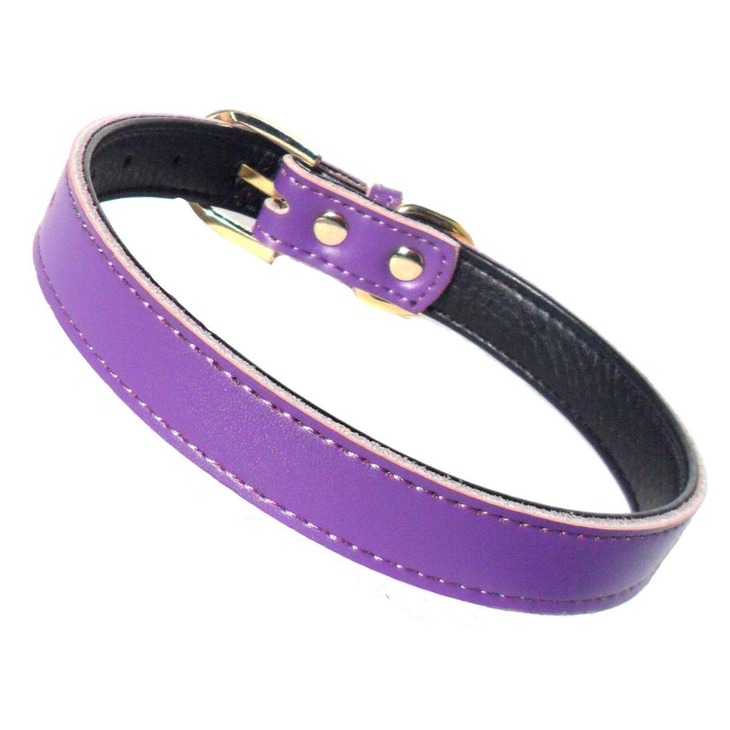 Plain Chelsea Dog Collar – Classic Everyday Collar (4 Sizes)