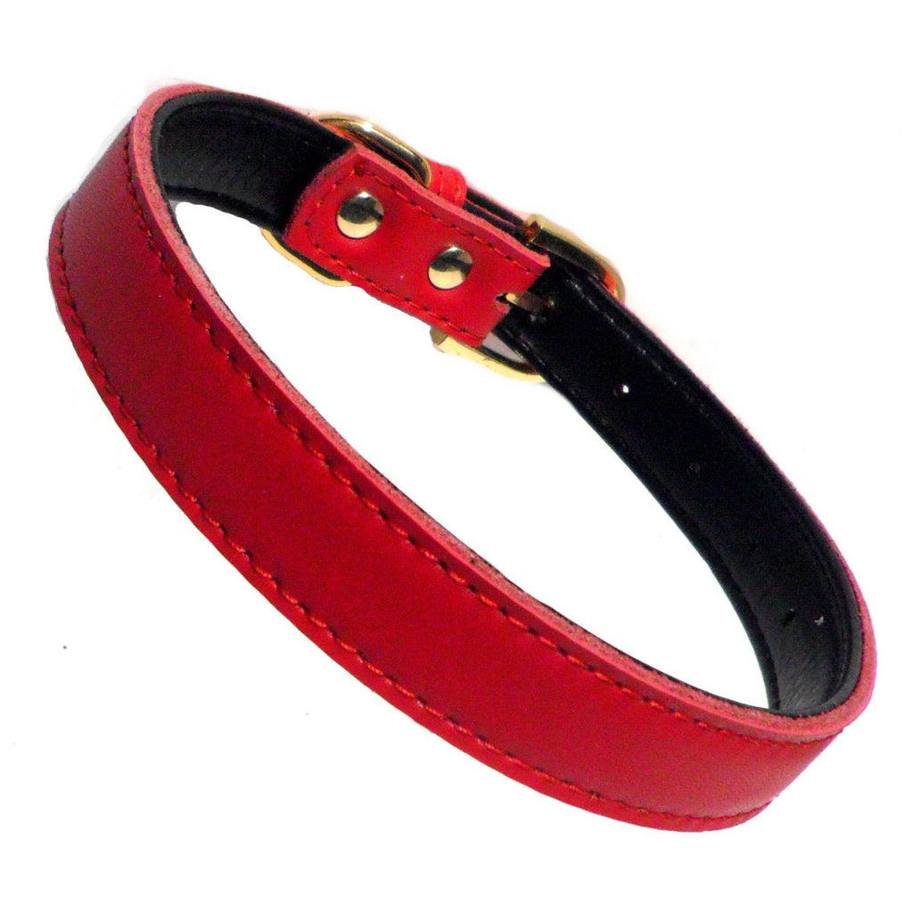 Plain Chelsea Dog Collar – Classic Everyday Collar (4 Sizes)