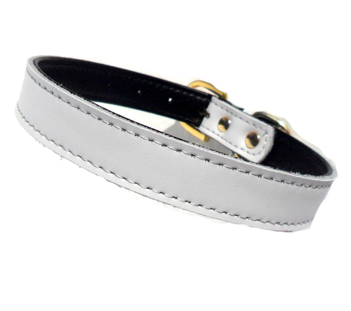 Plain Chelsea Dog Collar – Classic Everyday Collar (4 Sizes)