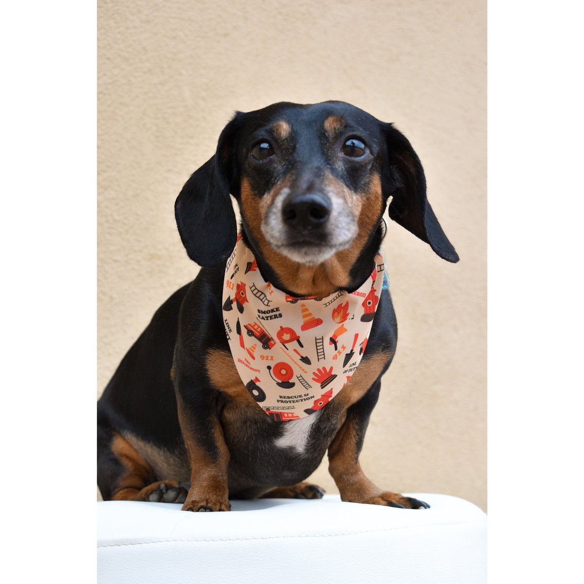 Fire Print Dog Bandana – Cool Neck Scarf for Dogs
