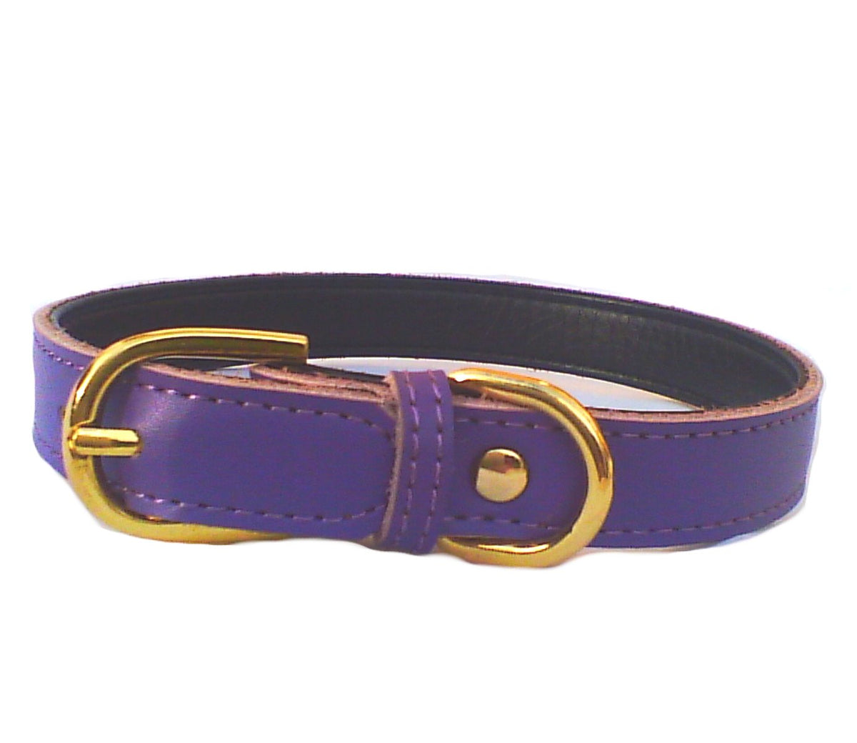Plain Chelsea Dog Collar – Classic Everyday Collar (4 Sizes)