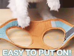 Adjustable Reflective Cat Harness & Leash Set – Escape-Proof Vest