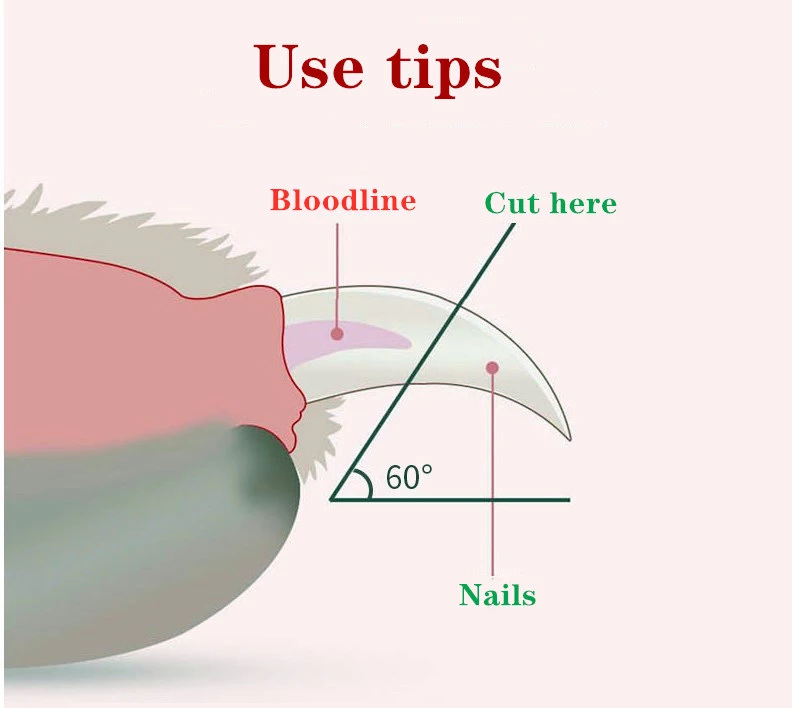 LED Pet Nail Clipper & Scissors – Safe Trimmer for Cats & Dogs