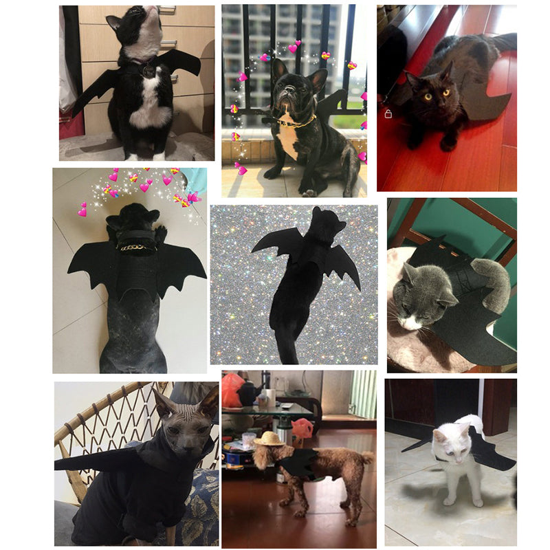 Halloween Bat Wings Pet Costume – Cat & Dog Dress-Up