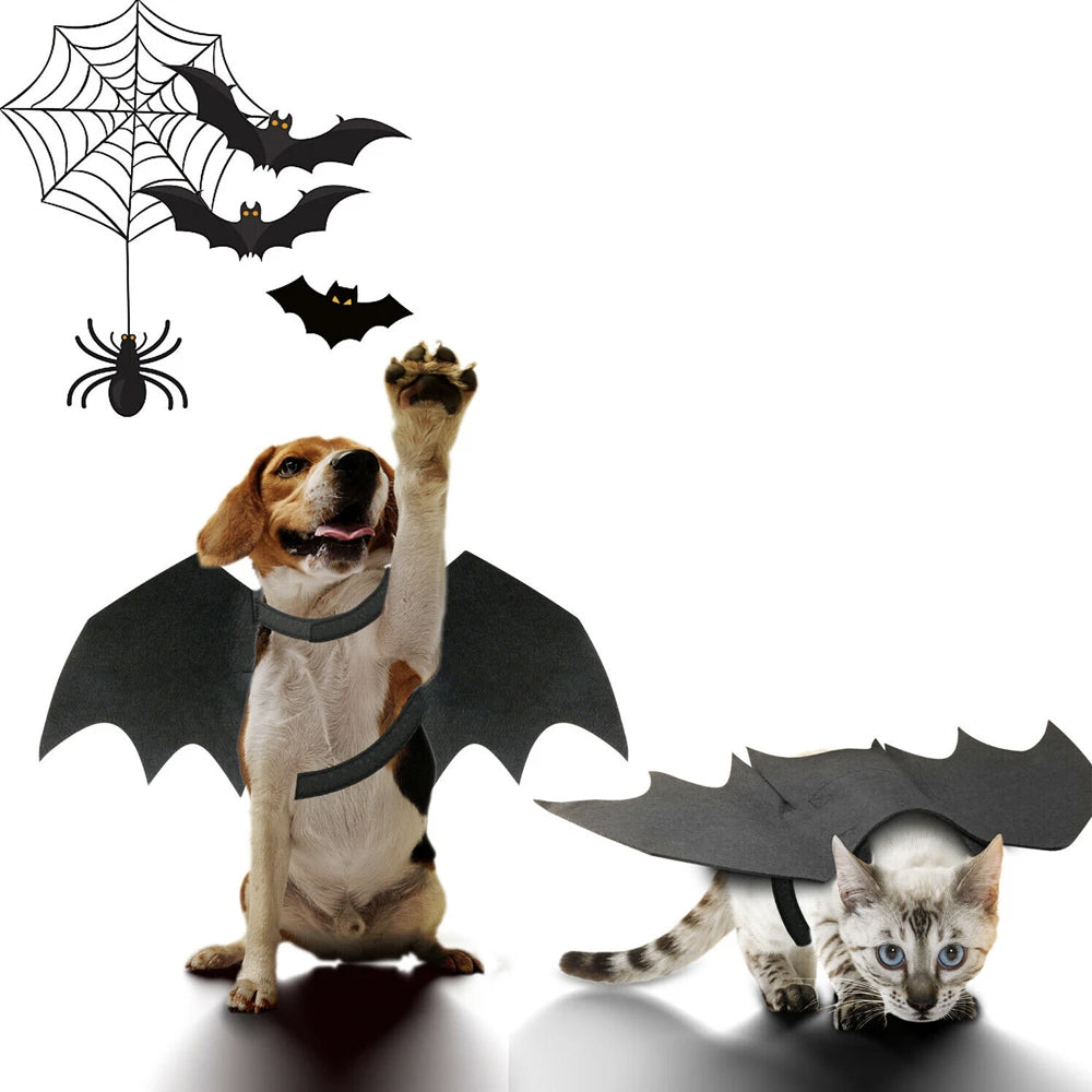 Halloween Bat Wing Costume for Cats & Dogs – S/M & M/L Sizes