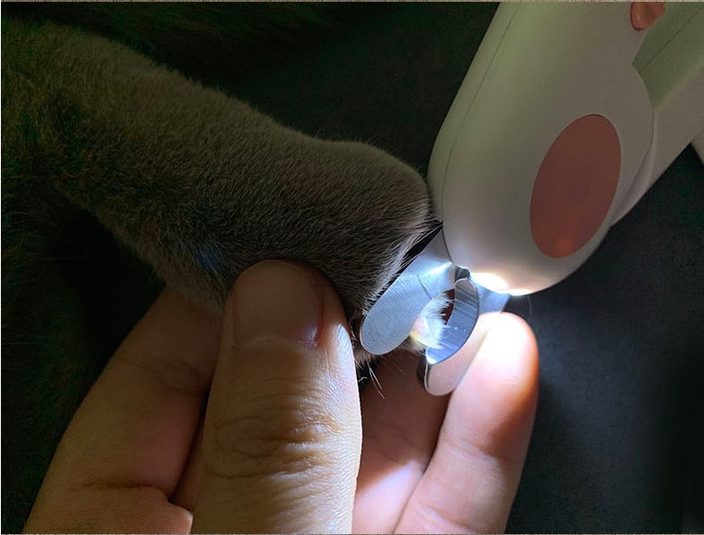 LED Pet Nail Clipper & Scissors – Safe Trimmer for Cats & Dogs