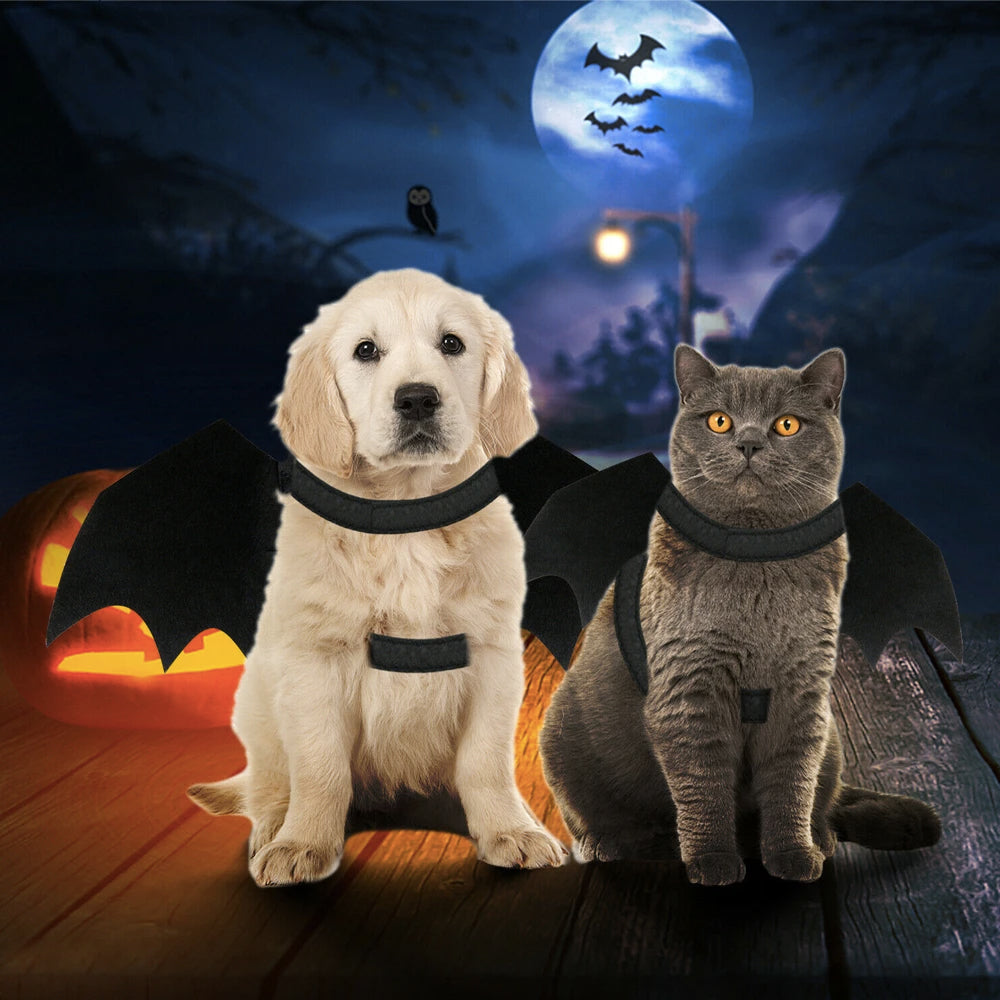 Halloween Bat Wing Costume for Cats & Dogs – S/M & M/L Sizes