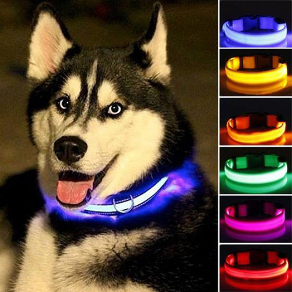2-Pack Nylon LED Dog Collar Set – Night Safety Glow Collars