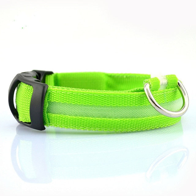 2-Pack Nylon LED Dog Collar Set – Night Safety Glow Collars