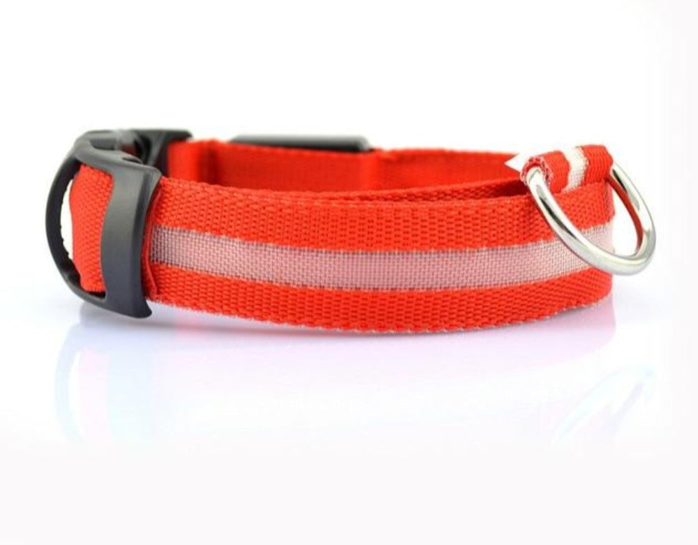 2-Pack Nylon LED Dog Collar Set – Night Safety Glow Collars