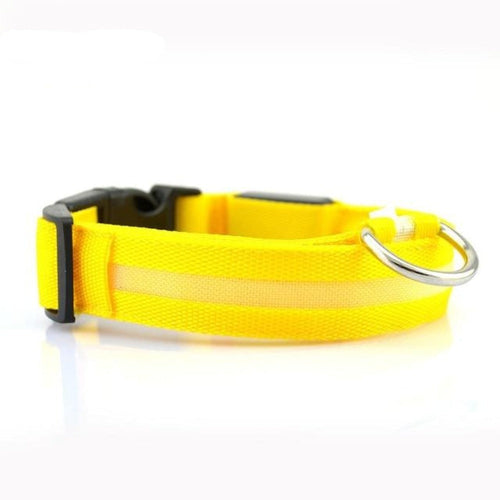 2-Pack Nylon LED Dog Collar Set – Night Safety Glow Collars