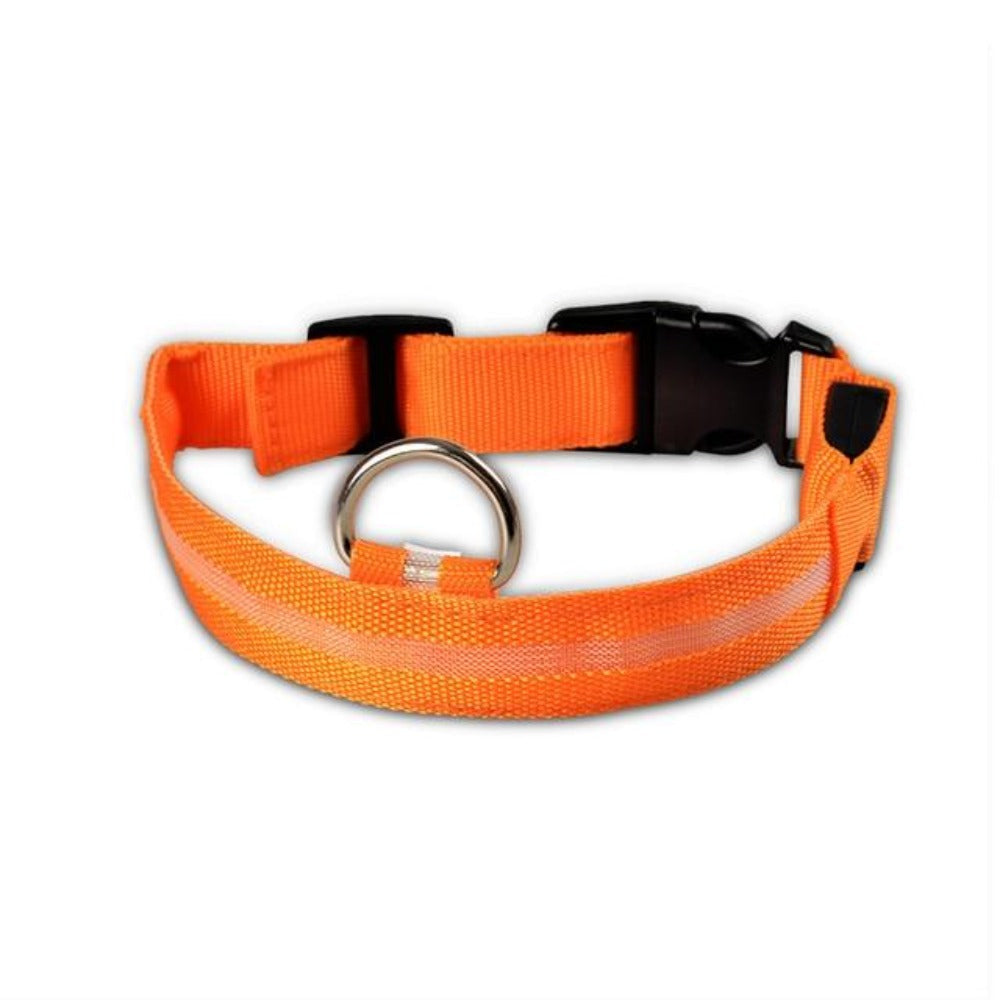2-Pack Nylon LED Dog Collar Set – Night Safety Glow Collars