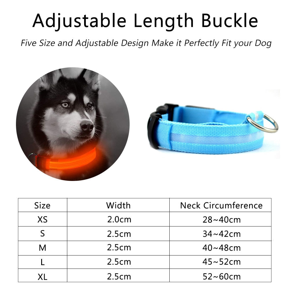 2-Pack Nylon LED Dog Collar Set – Night Safety Glow Collars
