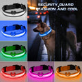 LED Light-Up Dog Collar – Safety Glow Collar for Dogs & Puppies