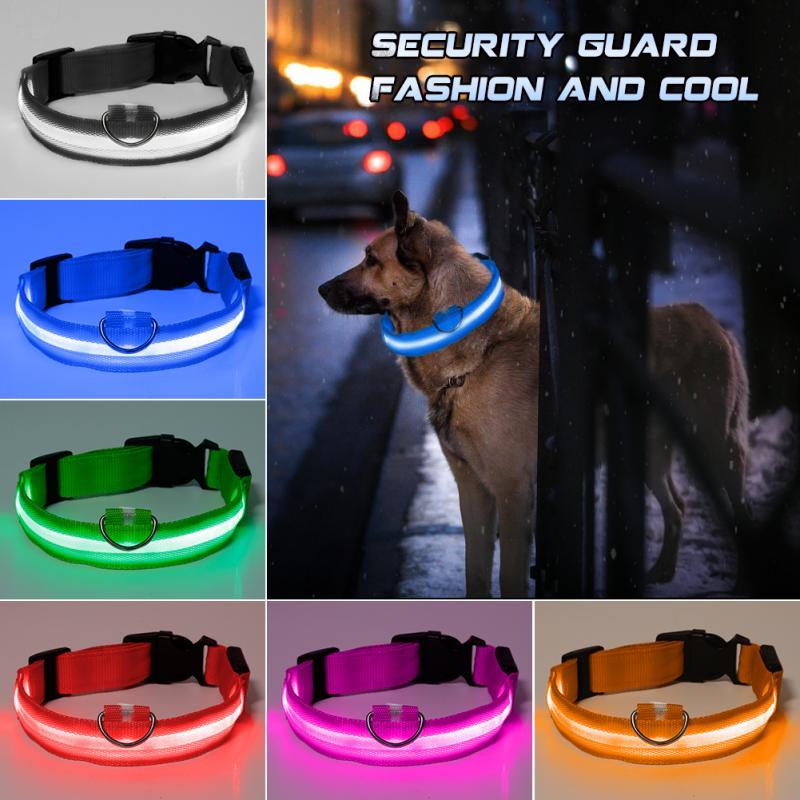 LED Light-Up Dog Collar – Safety Glow Collar for Dogs & Puppies
